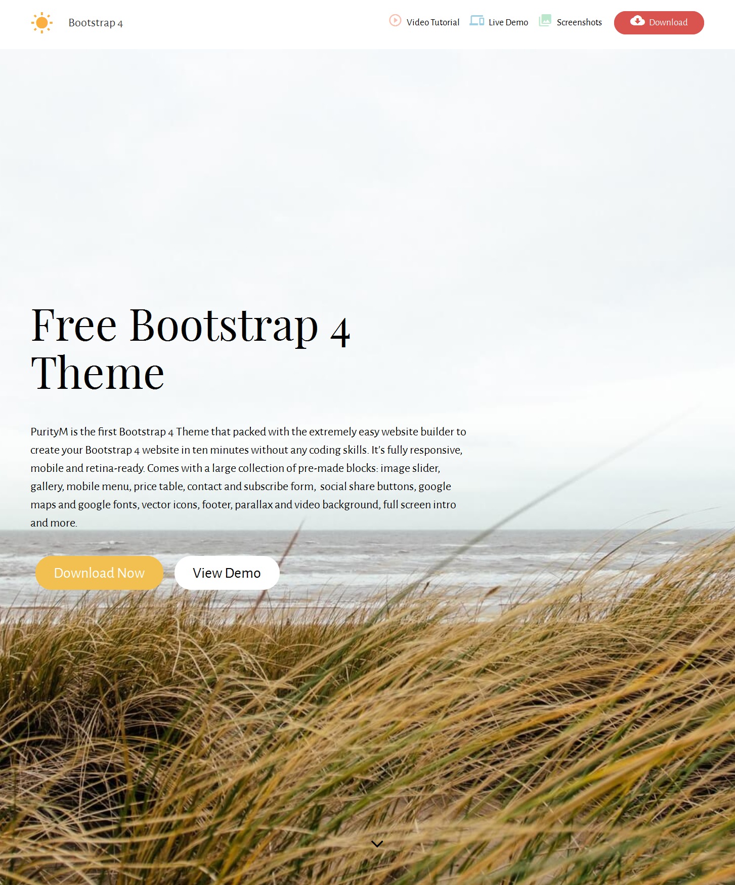 Responsive Bootstrap News Theme