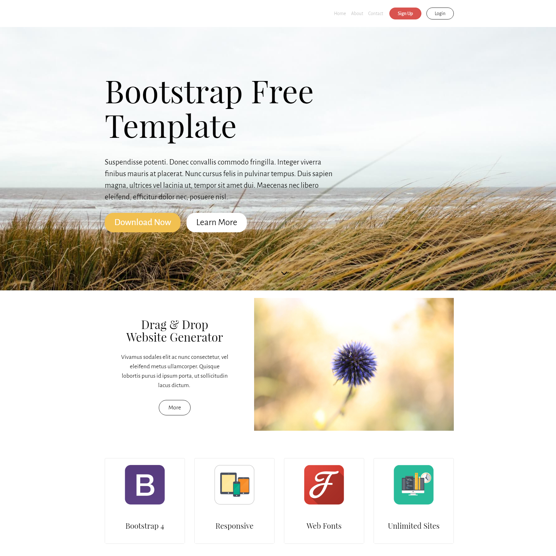 HTML Bootstrap Free Themes
