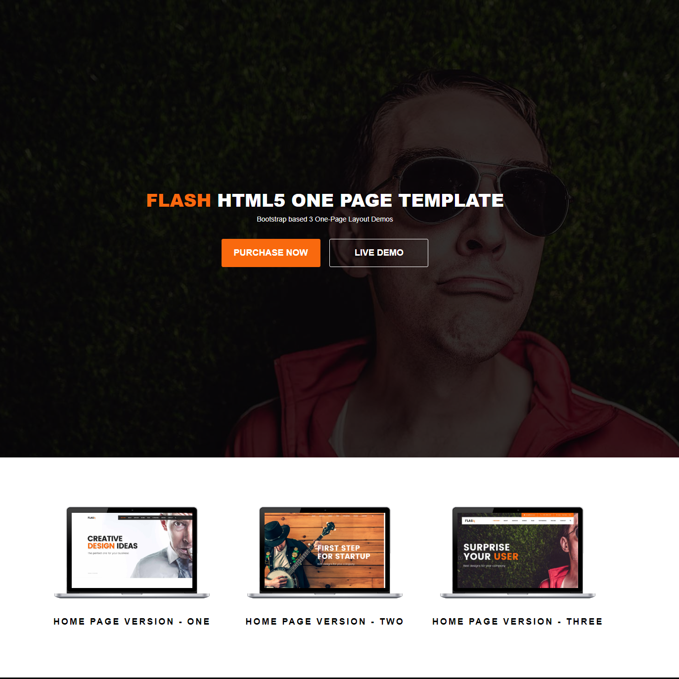 Free Download Bootstrap Flash Templates