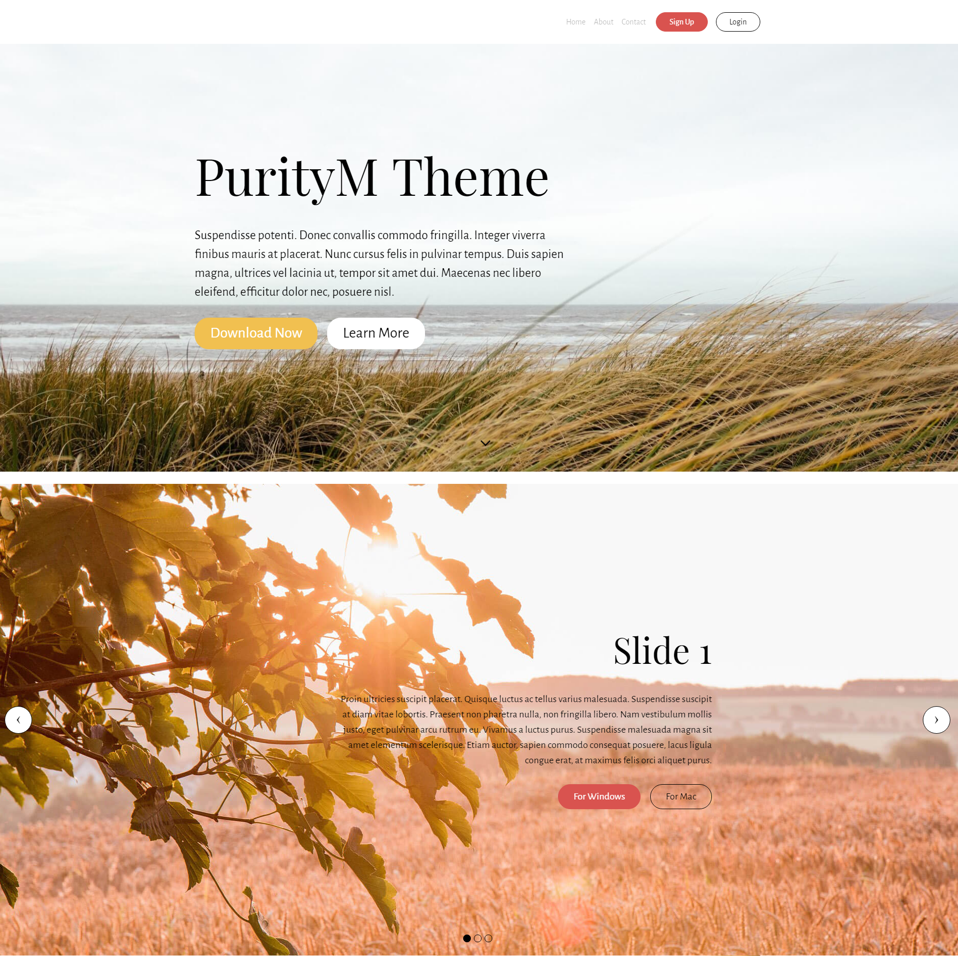 HTML Bootstrap PurityM Templates